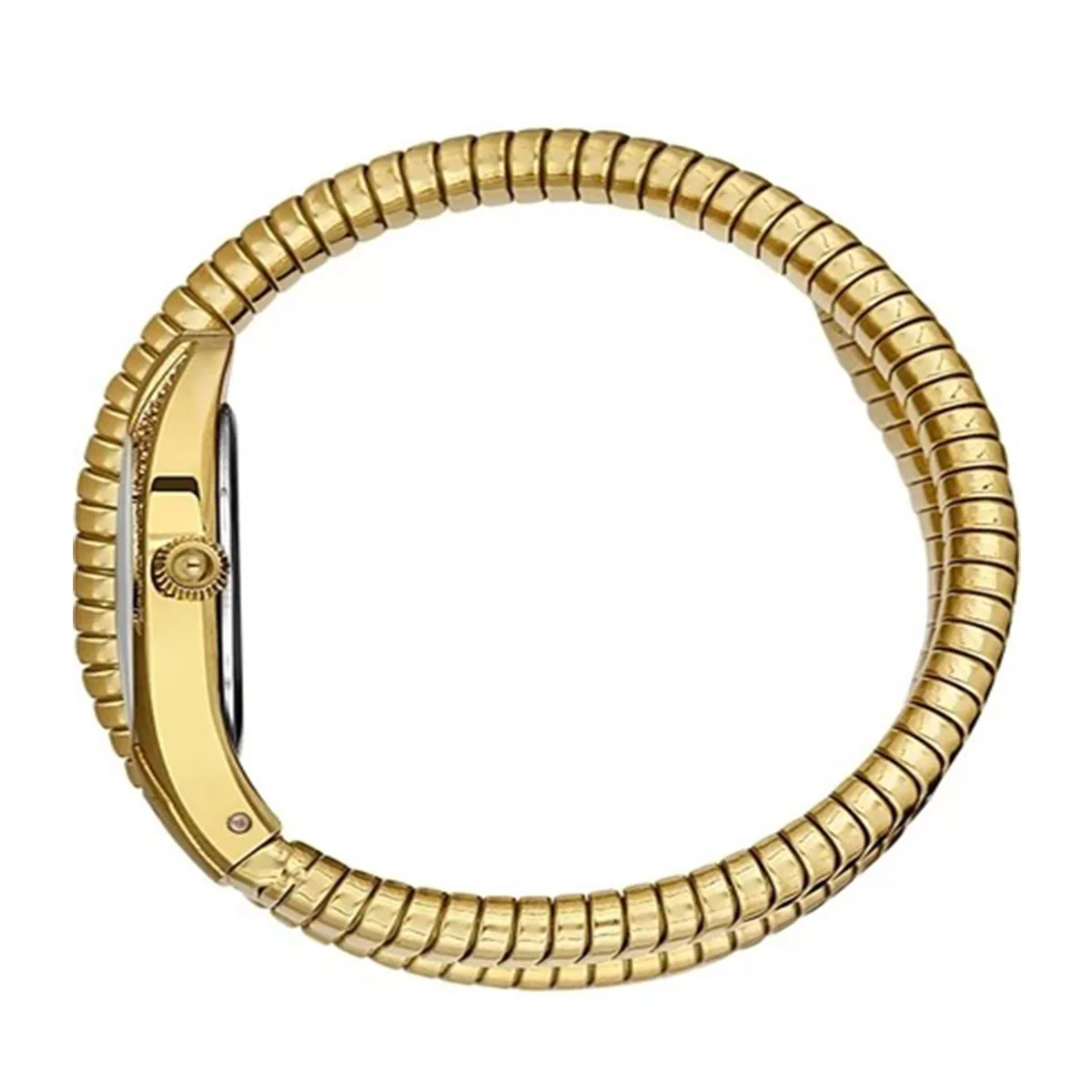 ساعت مچی زنانه فری لوک FREELOOK FL.1.10409-2