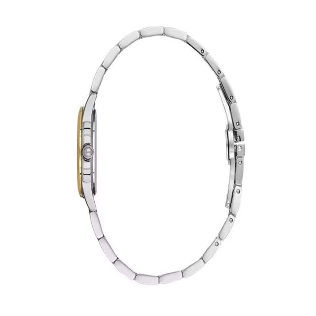 ساعت مچی زنانه فری لوک FREELOOK FL.1.10533-4