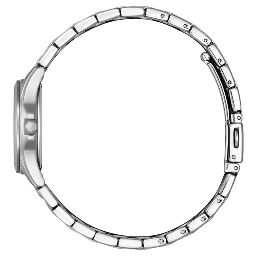 ساعت مچی مردانه سیتیزن CITIZEN BF2021-82L