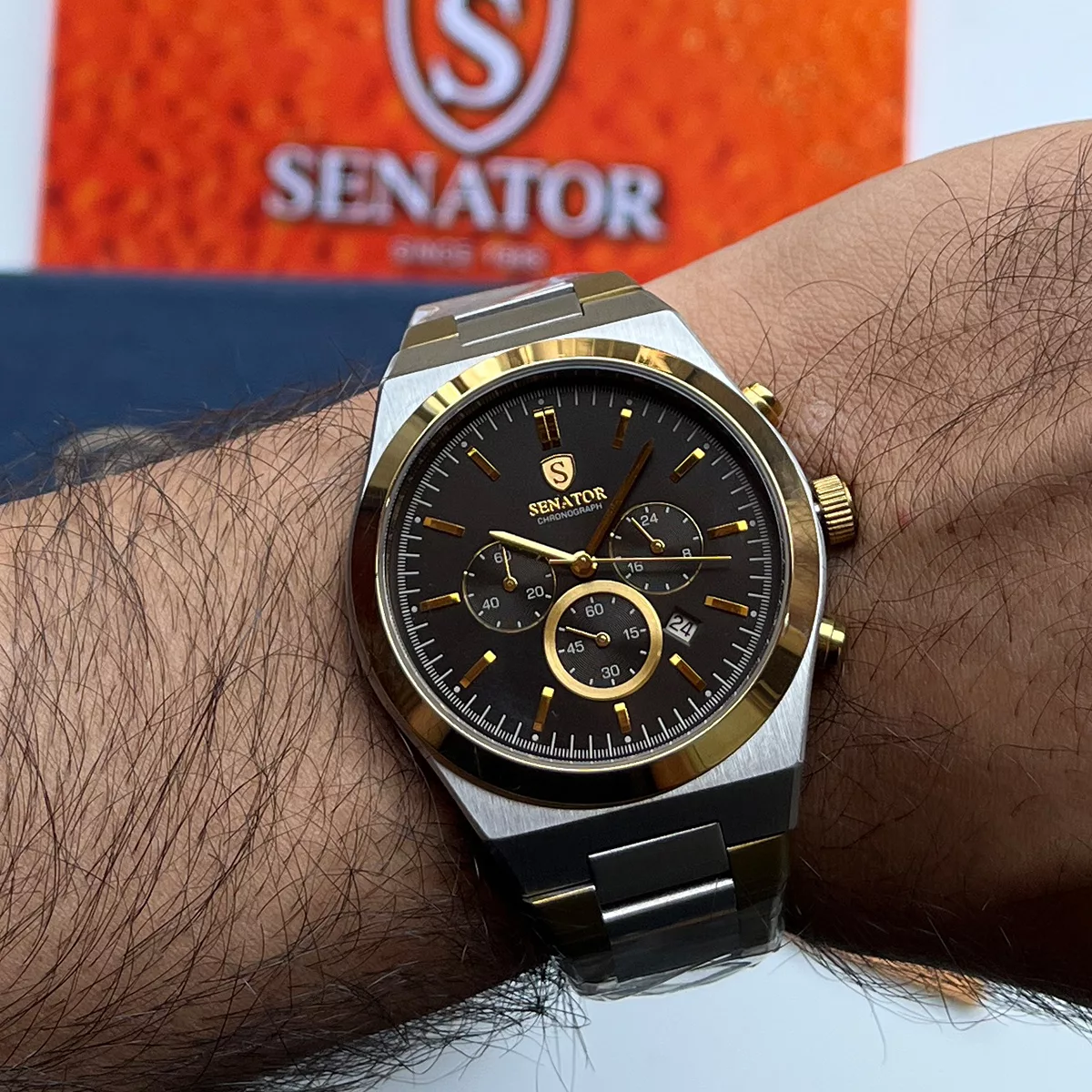 ساعت مچی مردانه سناتور SENATOR ST1056G