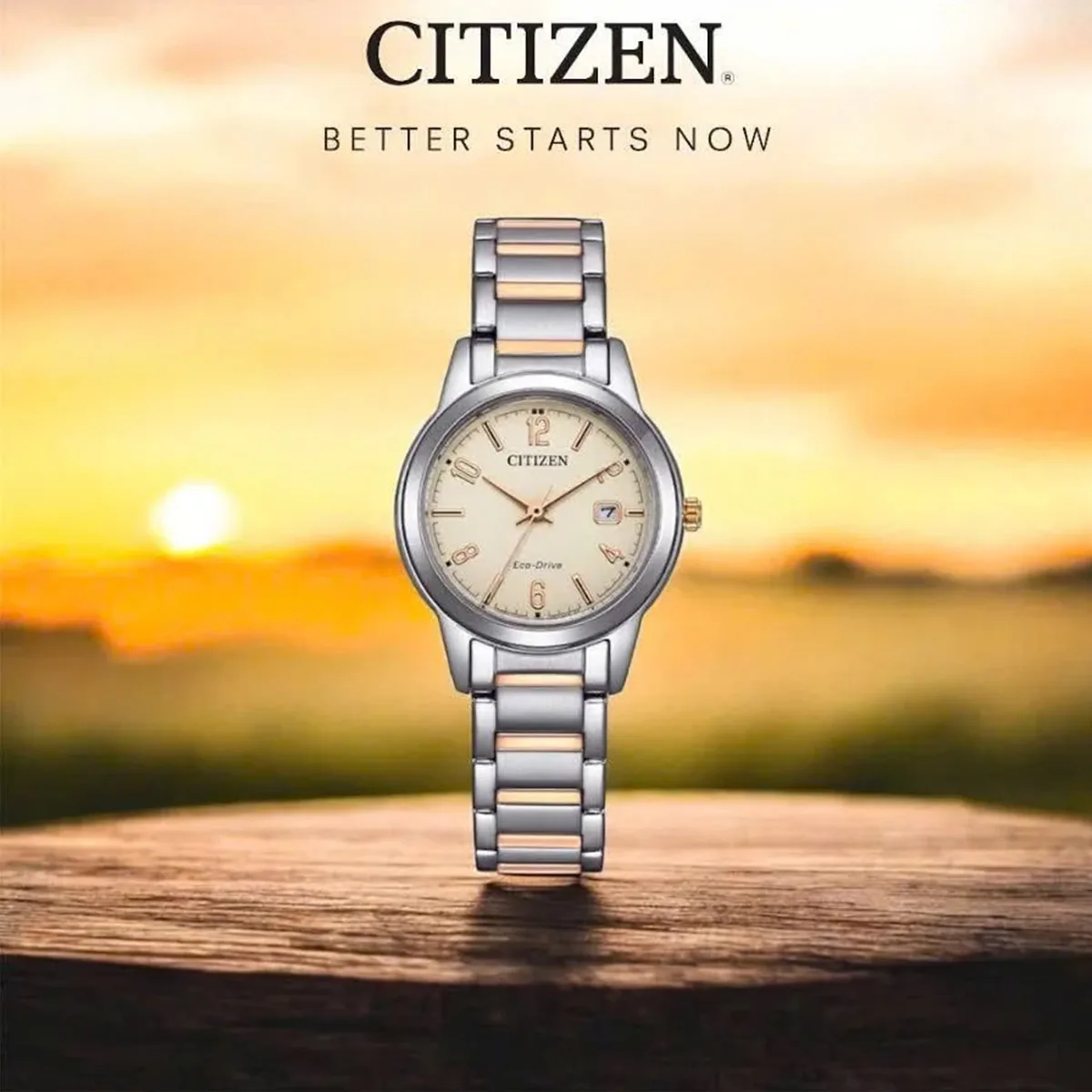 ساعت مچی زنانه سیتیزن CITIZEN FE1244-72A